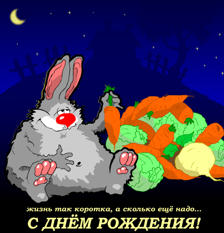 Прикольное поздравление от кролика